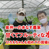 水なす栽培で刺身の食べ方-1024x576