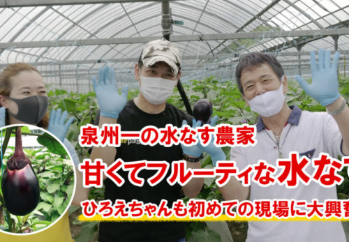 水なす栽培で刺身の食べ方-1024x576